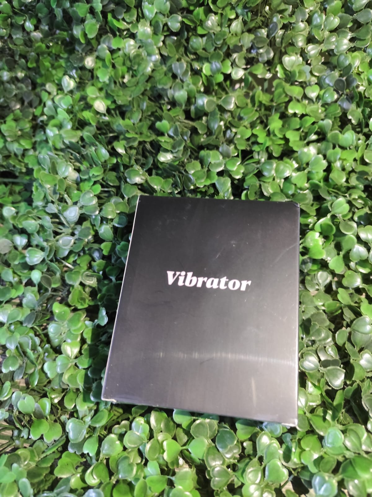 VIBRADOR A DISTANCIA CON APP