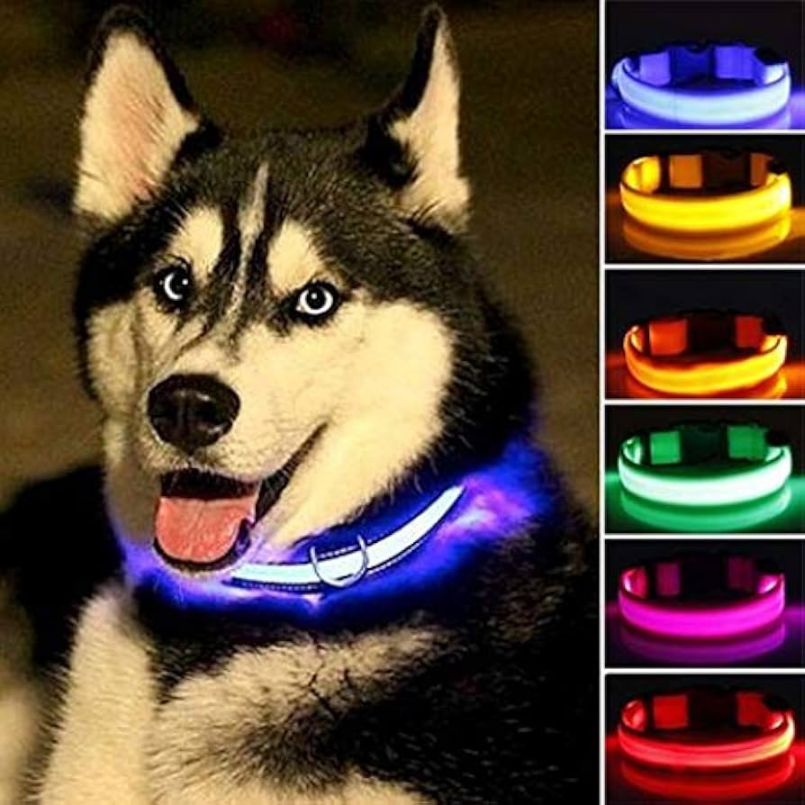 COLLAR LED PARA MASCOTAS RECARGABLE