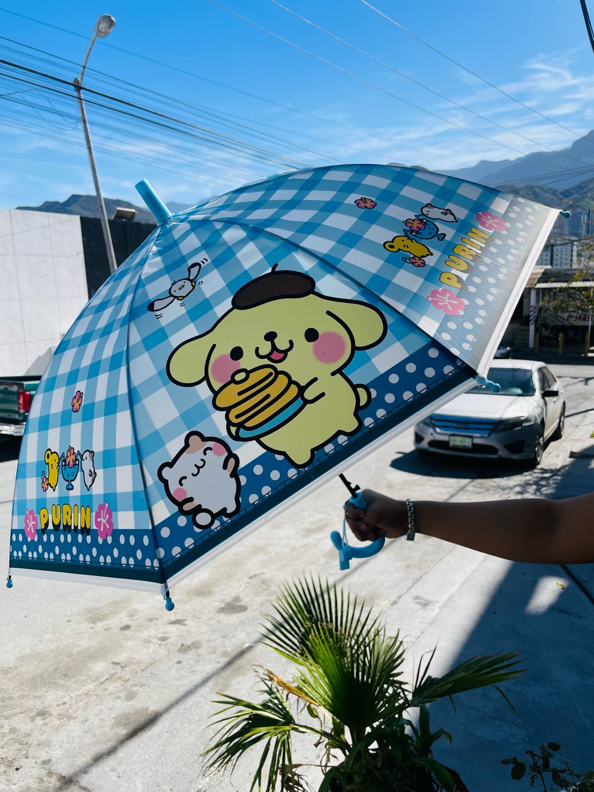 PARAGUAS SANRIO POMPOMPURIN