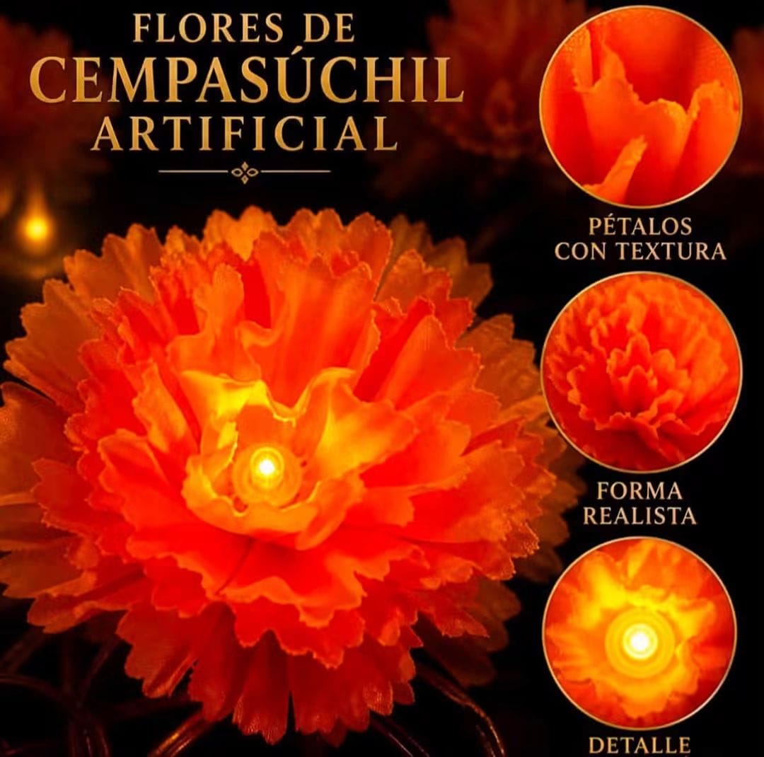 SERIE DE FLORES DE CEMPASUCHIL