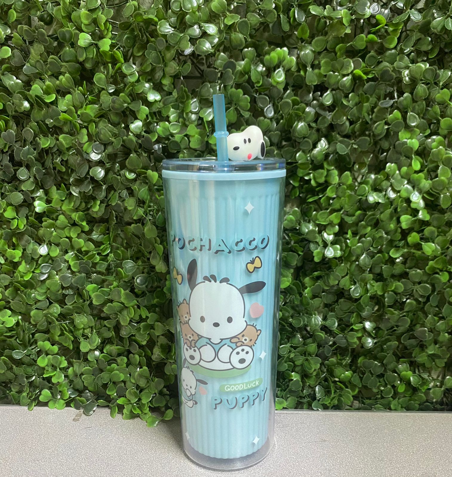 TERMO PERSONAJE POCHACCO