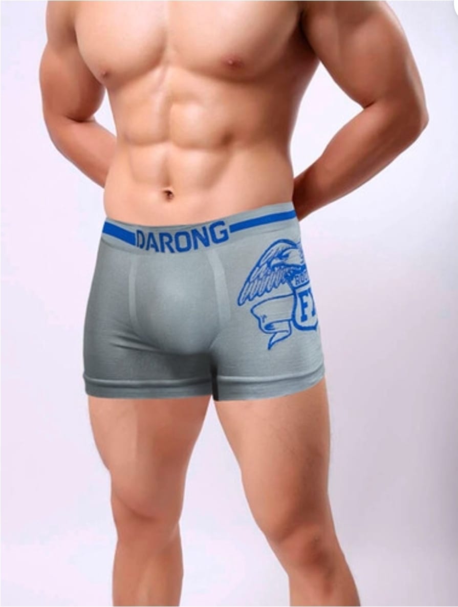 DOCENA DE BOXER CABALLERO